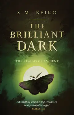 Die strahlende Dunkelheit: Die Reiche der Alten, Buch 3 - The Brilliant Dark: The Realms of Ancient, Book 3