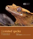 Kammgecko: Verstehen und Pflegen Ihres Haustiers - Crested Gecko: Understanding and Caring for Your Pet