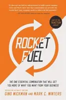 Raketentreibstoff: Die eine essentielle Kombination, die Ihnen mehr von dem bringt, was Sie von Ihrem Geschäft wollen - Rocket Fuel: The One Essential Combination That Will Get You More of What You Want from Your Business