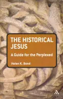 Der historische Jesus: Ein Leitfaden für Verwirrte - The Historical Jesus: A Guide for the Perplexed