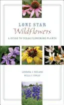 Lone Star Wildblumen: Ein Leitfaden für blühende Pflanzen in Texas - Lone Star Wildflowers: A Guide to Texas Flowering Plants