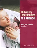 Hebammen-Notfälle auf einen Blick - Midwifery Emergencies at a Glance