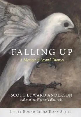 Aufgefallen: Eine Erinnerung an zweite Chancen - Falling Up: A Memoir of Second Chances