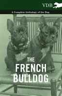 Die Französische Bulldogge - Eine vollständige Anthologie des Hundes - The French Bulldog - A Complete Anthology of the Dog