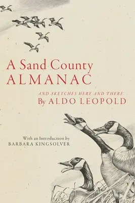 Ein Sand County Almanach: Und Skizzen hier und dort - A Sand County Almanac: And Sketches Here and There