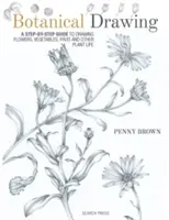 Botanisches Zeichnen: Eine Schritt-für-Schritt-Anleitung zum Zeichnen von Blumen, Gemüse, Obst und anderen Pflanzen - Botanical Drawing: A Step-By-Step Guide to Drawing Flowers, Vegetables, Fruit and Other Plant Life