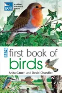 RSPB Erstes Buch der Vögel - RSPB First Book Of Birds