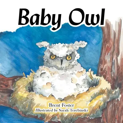 Baby-Eule - Baby Owl