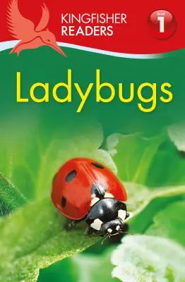 Marienkäfer - Ladybugs