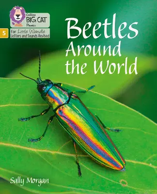 Käfer auf der ganzen Welt - Stufe 5 - Beetles Around the World - Phase 5