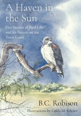 Ein Zufluchtsort an der Sonne: Fünf Geschichten über das Vogelleben und seine Zukunft an der texanischen Küste - A Haven in the Sun: Five Stories of Bird Life and Its Future on the Texas Coast