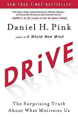 Antrieb: Die überraschende Wahrheit darüber, was uns motiviert - Drive: The Surprising Truth about What Motivates Us