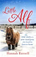 Der kleine Alf: Die wahre Geschichte eines winzigen Ponys, das sein endgültiges Zuhause fand - Little Alf: The True Story of a Pint-Sized Pony Who Found His Forever Home