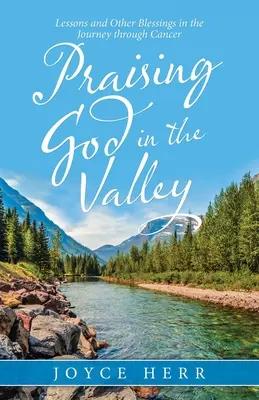 Gott im Tal loben: Lektionen und andere Segnungen auf der Reise durch den Krebs - Praising God in the Valley: Lessons and Other Blessings in the Journey Through Cancer