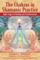 Die Chakren in der schamanischen Praxis: Acht Stadien der Heilung und Transformation - The Chakras in Shamanic Practice: Eight Stages of Healing and Transformation