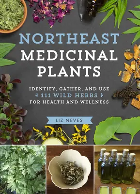 Medizinische Pflanzen des Nordostens: Identifizieren, Ernten und Verwenden von 111 Wildkräutern für Gesundheit und Wohlbefinden - Northeast Medicinal Plants: Identify, Harvest, and Use 111 Wild Herbs for Health and Wellness