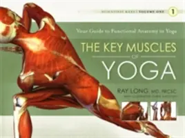Die wichtigsten Muskeln des Yoga - The Key Muscles of Yoga