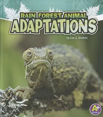 Anpassungen von Regenwaldtieren - Rain Forest Animal Adaptations