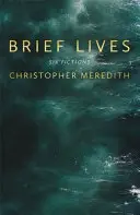 Kurze Leben - Brief Lives