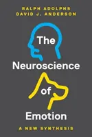 Die Neurowissenschaft der Emotionen: Eine neue Synthese - The Neuroscience of Emotion: A New Synthesis