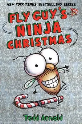 Fliegentyps Ninja-Weihnachten (Fliegentyp #16), 16 - Fly Guy's Ninja Christmas (Fly Guy #16), 16