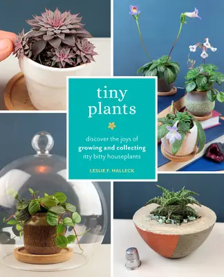 Winzige Pflanzen: Entdecken Sie die Freuden des Züchtens und Sammelns klitzekleiner Zimmerpflanzen - Tiny Plants: Discover the Joys of Growing and Collecting Itty-Bitty Houseplants