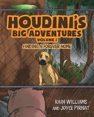 Houdinis große Abenteuer: Auf der Suche nach einem Zuhause für immer - Houdini's Big Adventures: Finding a Forever Home