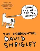 Was zum Teufel tust du da? Der unverzichtbare David Shrigley - What The Hell Are You Doing?: The Essential David Shrigley