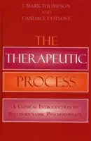 Der Therapeutische Prozess: Eine klinische Einführung in die psychodynamische Psychotherapie - The Therapeutic Process: A Clinical Introduction to Psychodynamic Psychotherapy
