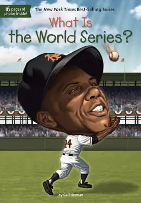 Was sind die World Series? - What Is the World Series?