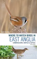 Wo man in East Anglia Vögel beobachten kann: Cambridgeshire, Norfolk und Suffolk - Where to Watch Birds in East Anglia: Cambridgeshire, Norfolk and Suffolk