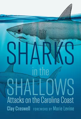 Haie in den Untiefen: Angriffe auf die Küste Carolinas - Sharks in the Shallows: Attacks on the Carolina Coast