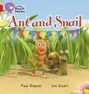 Ameise und Schnecke - Ant and Snail