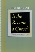 Ist das Rektum ein Grab? Und andere Essays - Is the Rectum a Grave?: And Other Essays