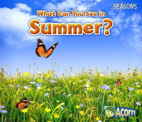 Was können Sie im Sommer sehen? - What Can You See in Summer?