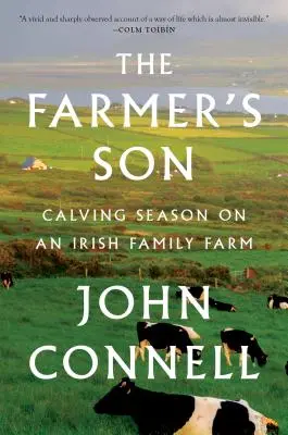 Wie man erfolgreiche Menschen erzieht: Einfache Lektionen für radikale Ergebnisse - How to Raise Successful People: Simple Lessons for Radical Results