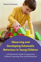 Schematisches Verhalten bei jungen Kindern beobachten und entwickeln: Ein Leitfaden für Fachkräfte zur Unterstützung des Lernens, Spielens und der Entwicklung von Kindern - Observing and Developing Schematic Behaviour in Young Children: A Professional's Guide for Supporting Children's Learning, Play and Development
