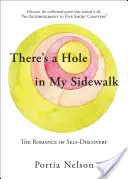 Da ist ein Loch in meinem Bürgersteig: Die Romanze der Selbstentdeckung - There's a Hole in My Sidewalk: The Romance of Self-Discovery