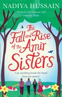 Der Fall und Aufstieg der Amir-Schwestern - The Fall and Rise of the Amir Sisters