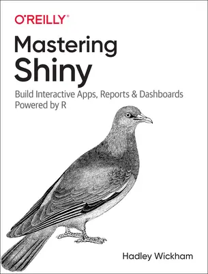 Shiny beherrschen: Interaktive Apps, Berichte und Dashboards mit R erstellen - Mastering Shiny: Build Interactive Apps, Reports, and Dashboards Powered by R