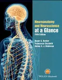 Neuroanatomie und Neurowissenschaften auf einen Blick - Neuroanatomy and Neuroscience at a Glance