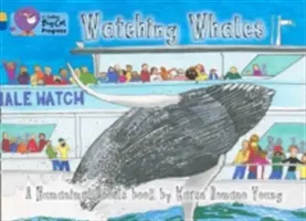 Wale beobachten - Watching Whales