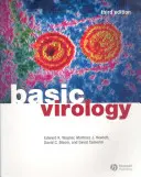 Grundlagen der Virologie - Basic Virology