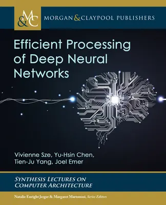 Effiziente Verarbeitung von tiefen neuronalen Netzen - Efficient Processing of Deep Neural Networks