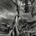 Uralte Bäume: Porträts der Zeit - Ancient Trees: Portraits of Time