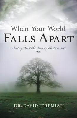 Wenn deine Welt auseinanderfällt: Über den Schmerz der Gegenwart hinwegsehen - When Your World Falls Apart: See Past the Pain of the Present