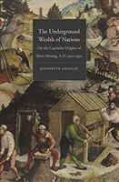 Der unterirdische Reichtum der Nationen: Über die kapitalistischen Ursprünge des Silberbergbaus, 1150-1450 n. Chr. - The Underground Wealth of Nations: On the Capitalist Origins of Silver Mining, A.D. 1150-1450