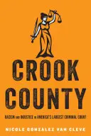 Crook County: Rassismus und Ungerechtigkeit in Amerikas größtem Strafgerichtshof - Crook County: Racism and Injustice in America's Largest Criminal Court