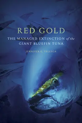 Rotes Gold: Das kontrollierte Aussterben des Blauflossenthunfischs - Red Gold: The Managed Extinction of the Giant Bluefin Tuna