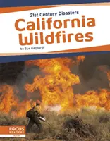 Waldbrände in Kalifornien - California Wildfires